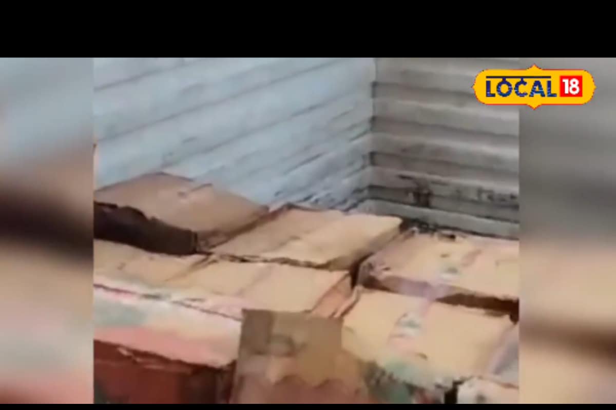 Why Was 456 Litres Of Mustard Oil And 115 KG Son Papdi Thrown In The Garbage In Rajasthan?