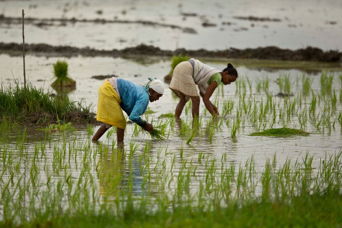 Micro-Level Weather Forecasting At Panchayat Level: Modi Govt’s Initiative To Boost Agriculture, Disaster Preparedness
