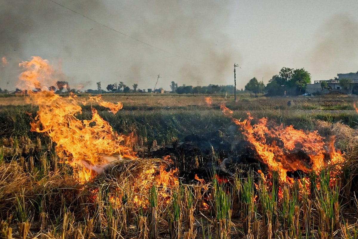 Hyperactive Haryana vs Politicking Punjab: What The Two States Are Doing As Stubble Burning Continues