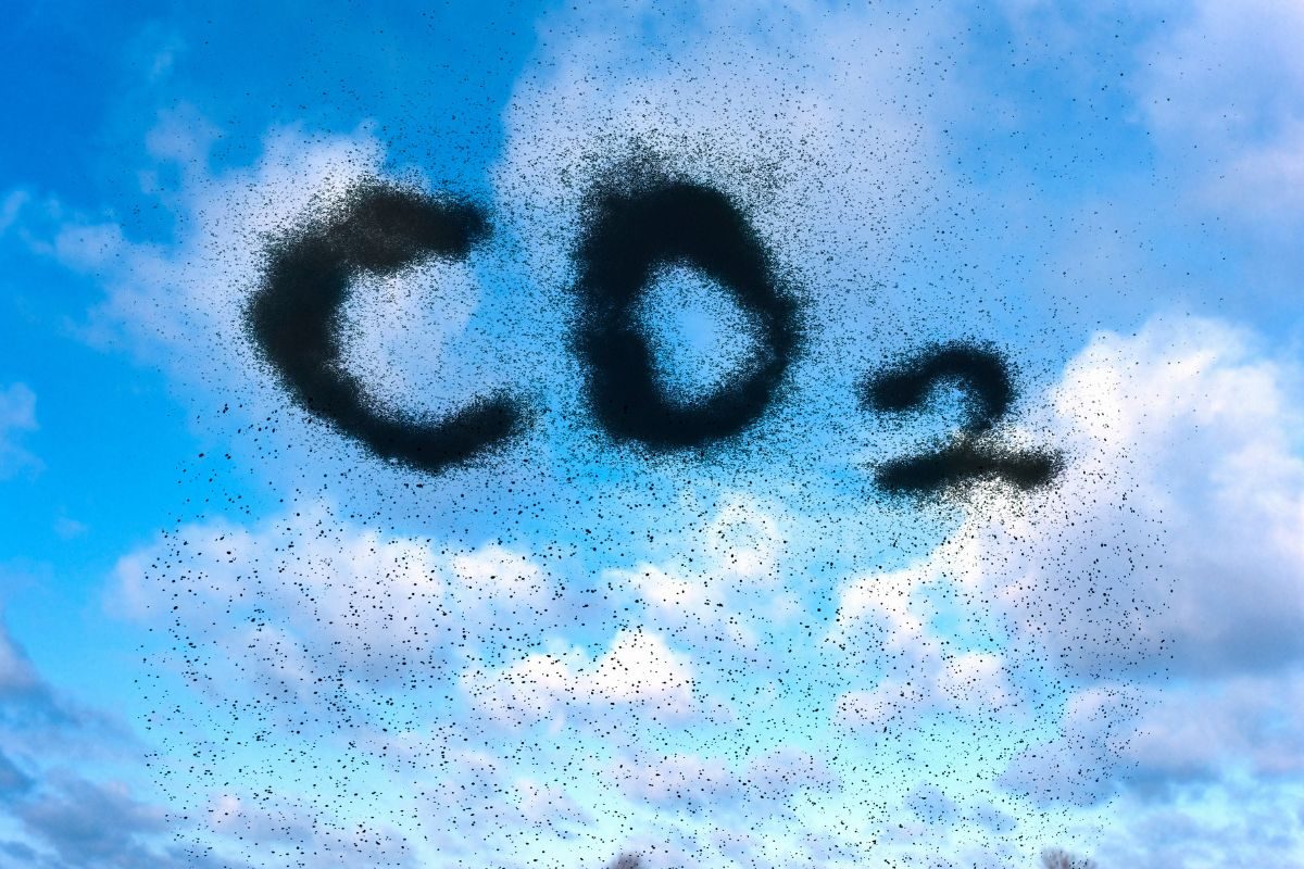 New WMO Report Points To Record Greenhouse Gas Levels As World Hurtles Towards 1.5℃ Warming