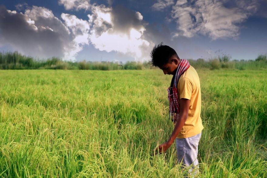 Onslaught of Extreme Weather Has Affected 2.8 Million Hectares of Crop Land in 2024 So Far, Central India Worst-Hit