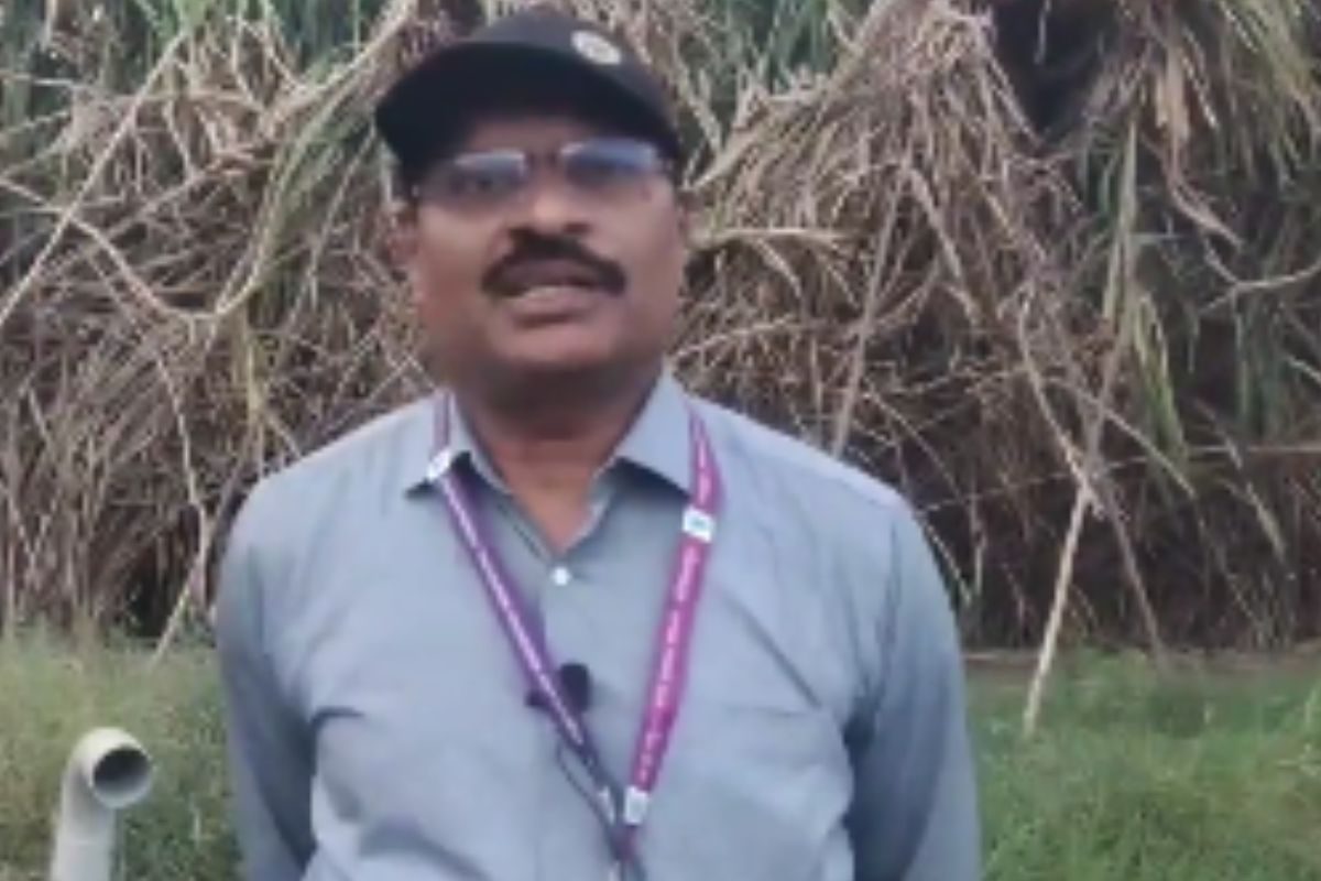 This Institute In Coimbatore Breeds A Special Variety Of Sugarcane For Ethanol Production