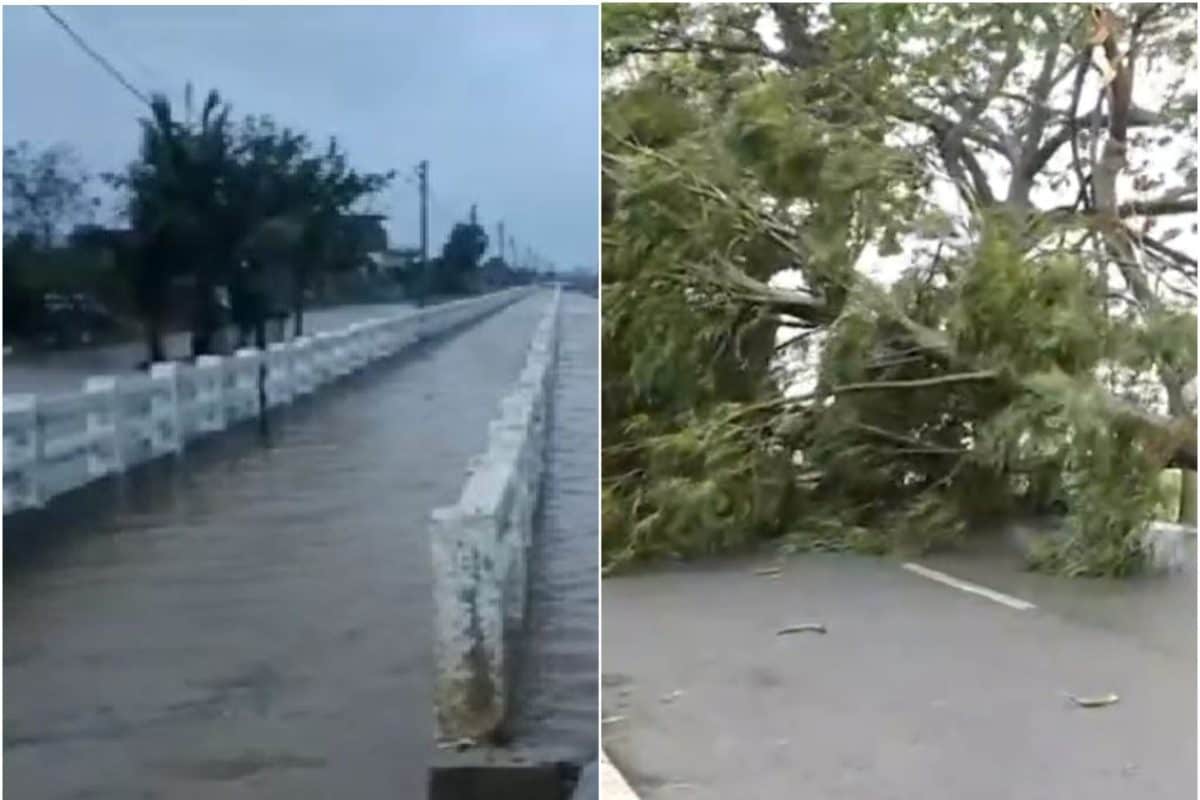 Cyclone Dana Brings Heavy Rain, Uproots Trees In Odisha; Landfall Process Ends, Say IMD Sources