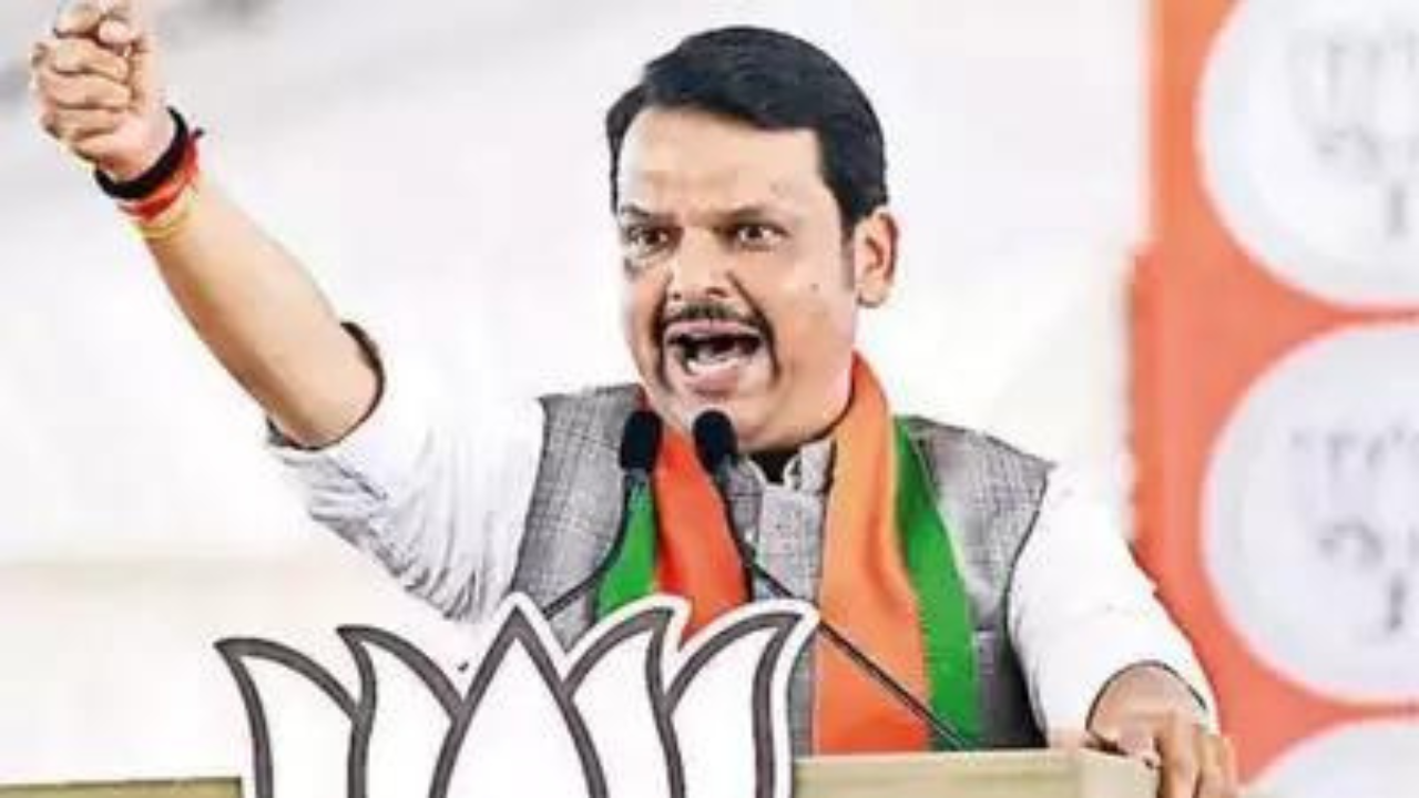 ‘They know nothing … ‘: Fadnavis on row over K’taka minister’s beef remark