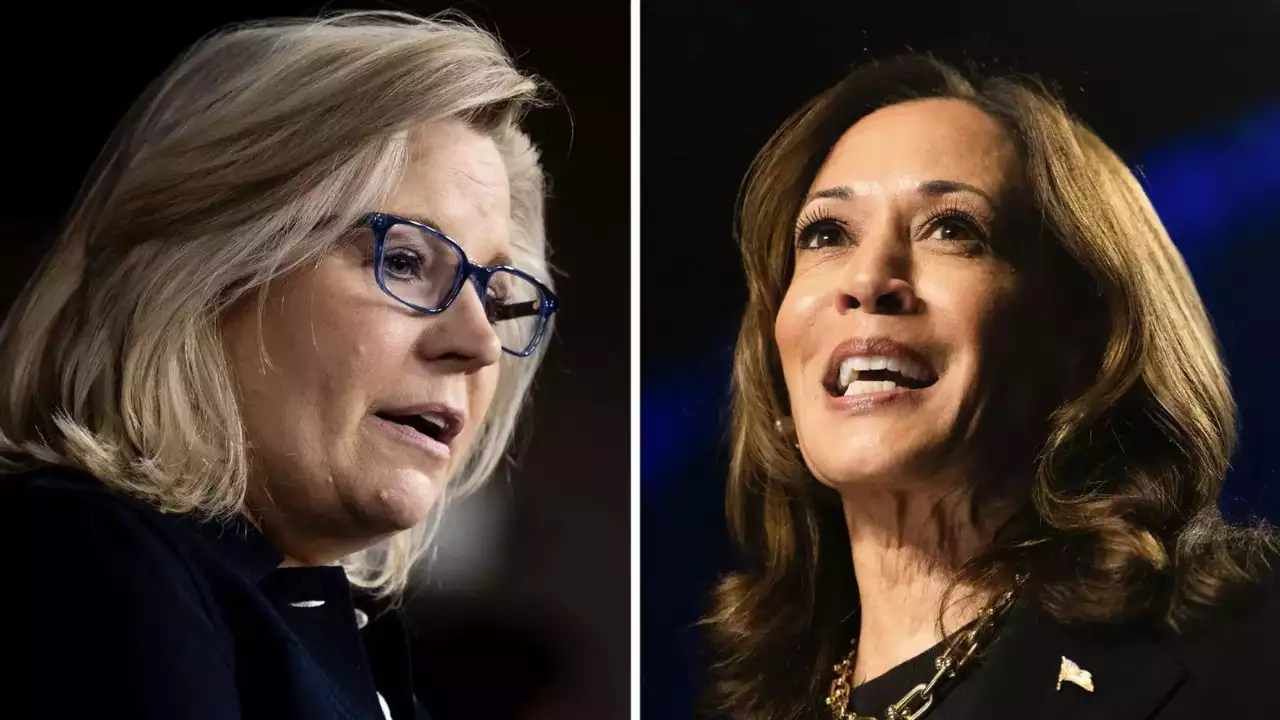 Will Liz Cheney be Kamala’s trump card?