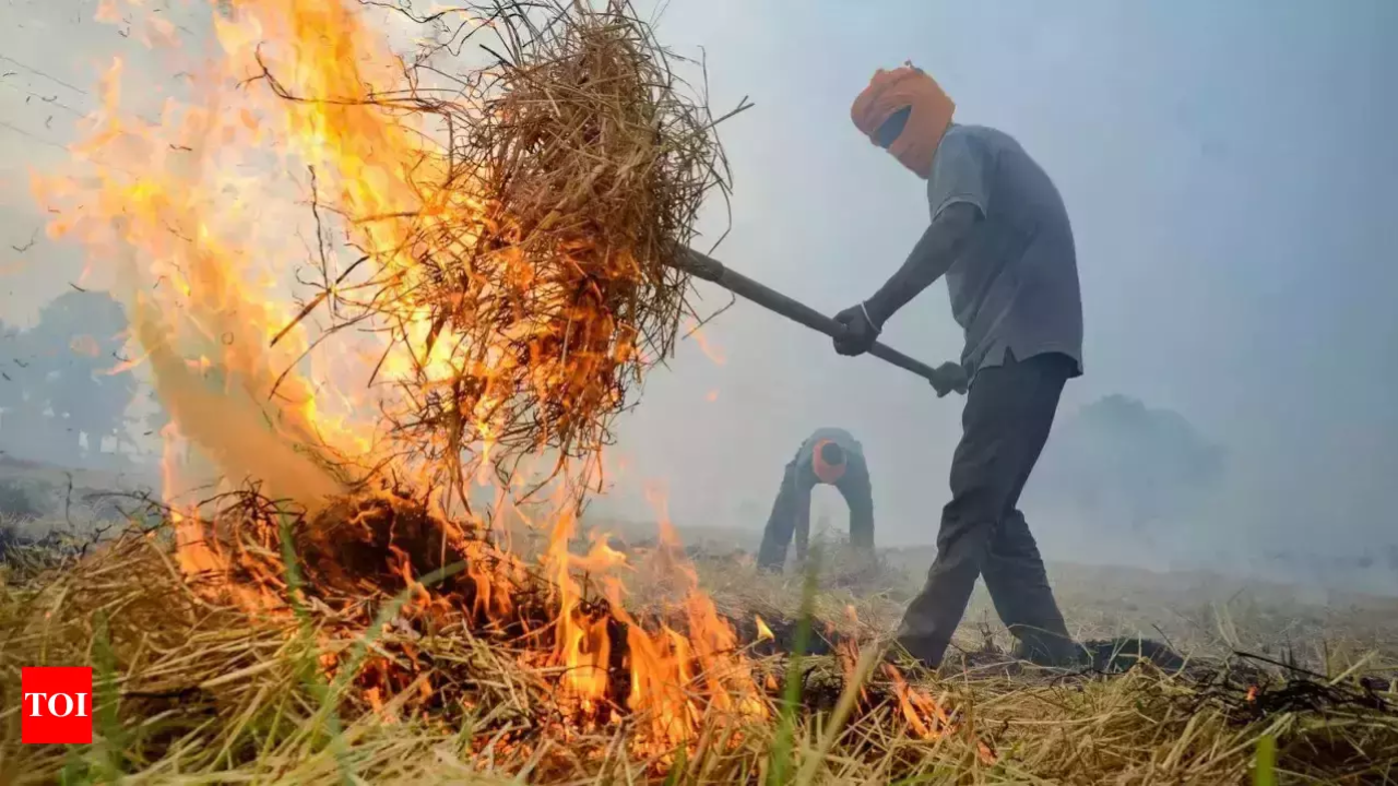 Bad air: Punjab, Haryana told to be on guard; be strict in farm fire hotspots, says Centre