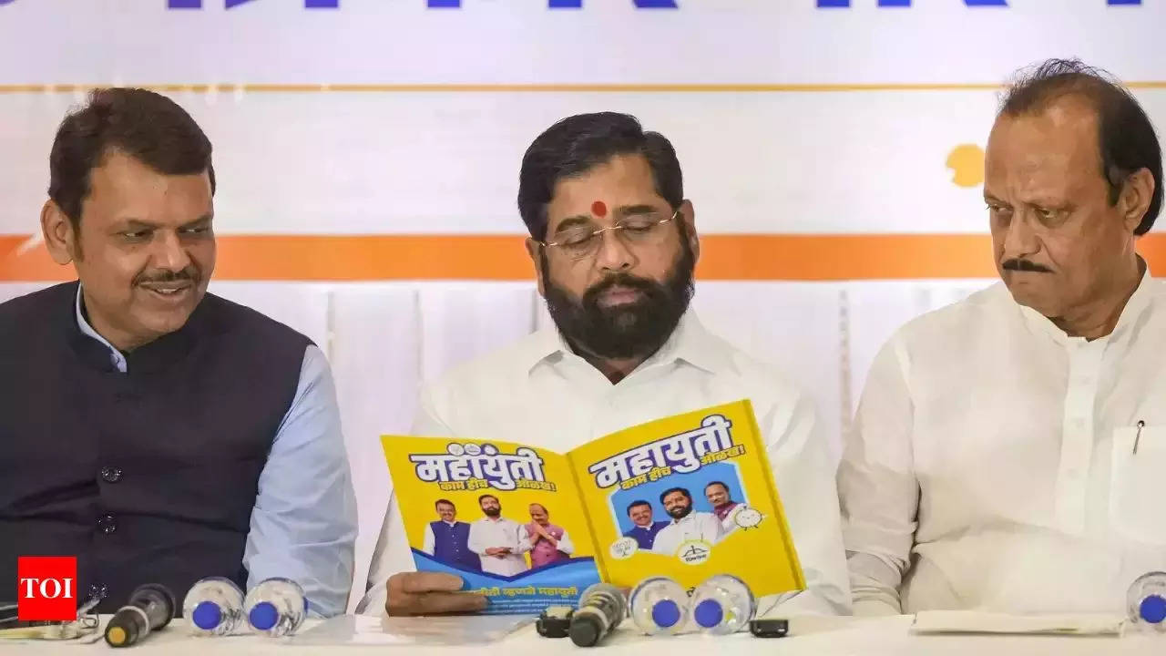With Ladki Bahin ‘popular,’ Mahayuti hopes to turn Lok Sabha poll fortunes around