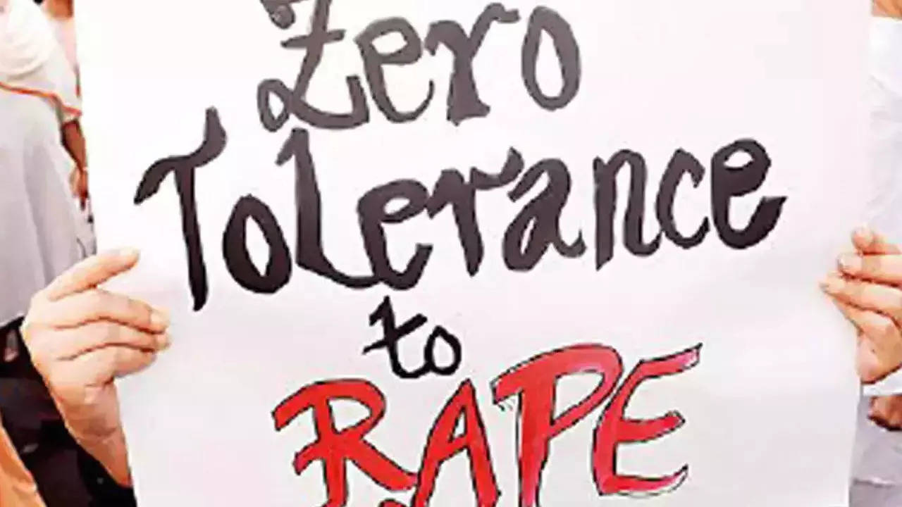 ‘Hundreds of videos’: Gujarat painter raped four girls, recorded act