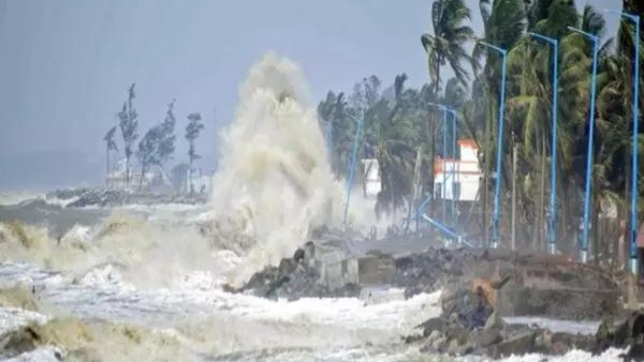 Kolkata breaths easy as cyclone Dana clears allergy-inducing Chhatim flowers