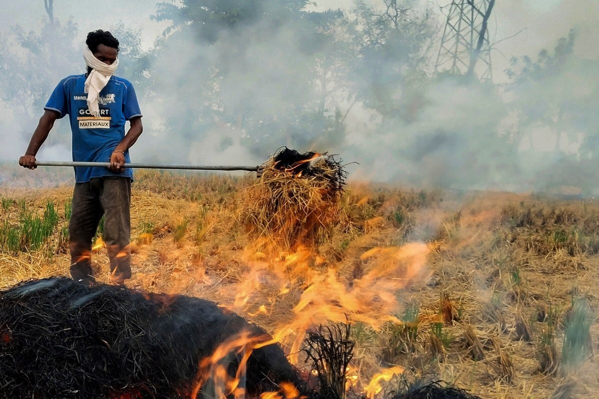 ‘No Penal Action, Only Meetings’: SC Pulls Up Punjab, Haryana On Stubble Burning