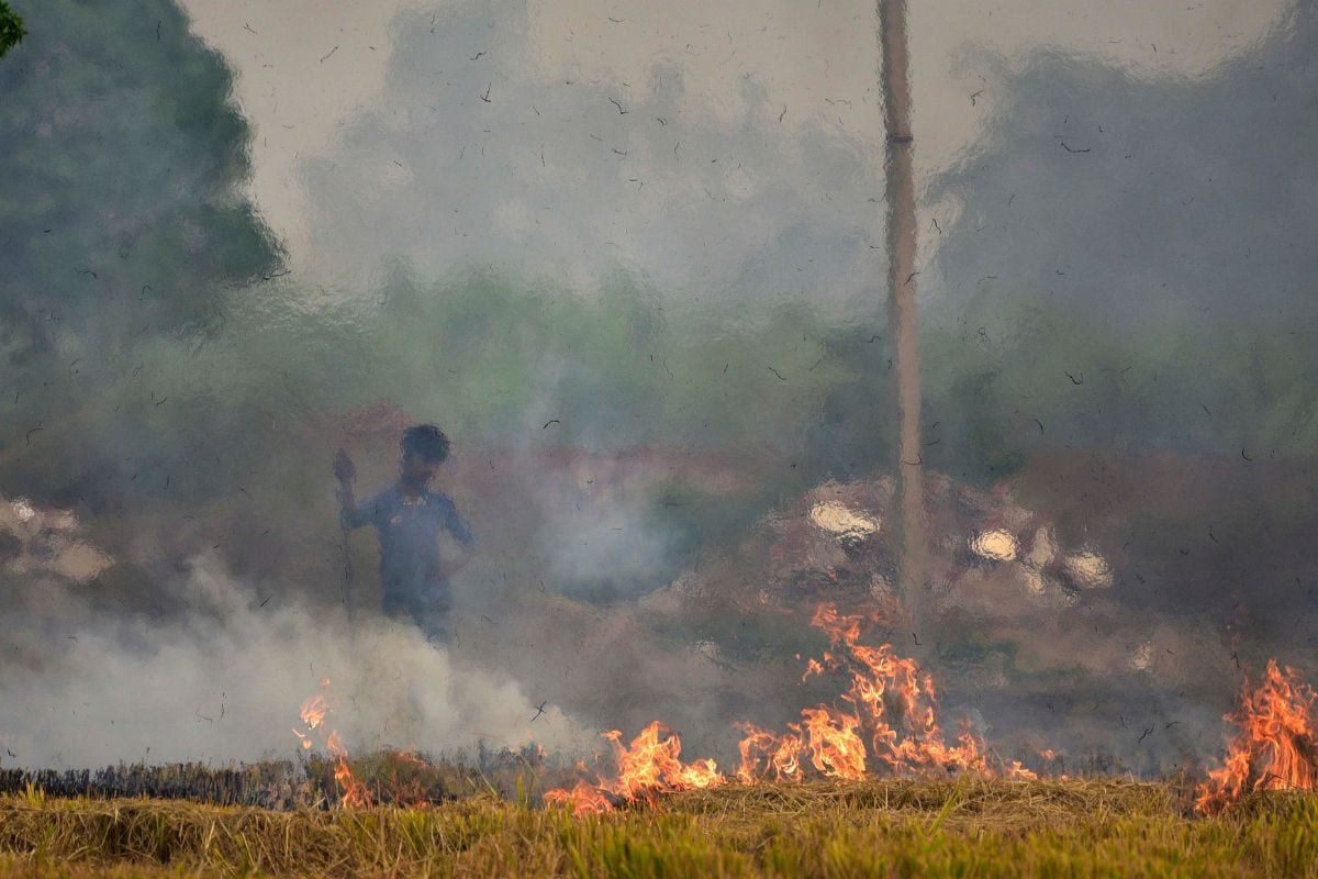 At Least 18 Farmers Arrested In Haryana’s Kaithal For Stubble-Burning