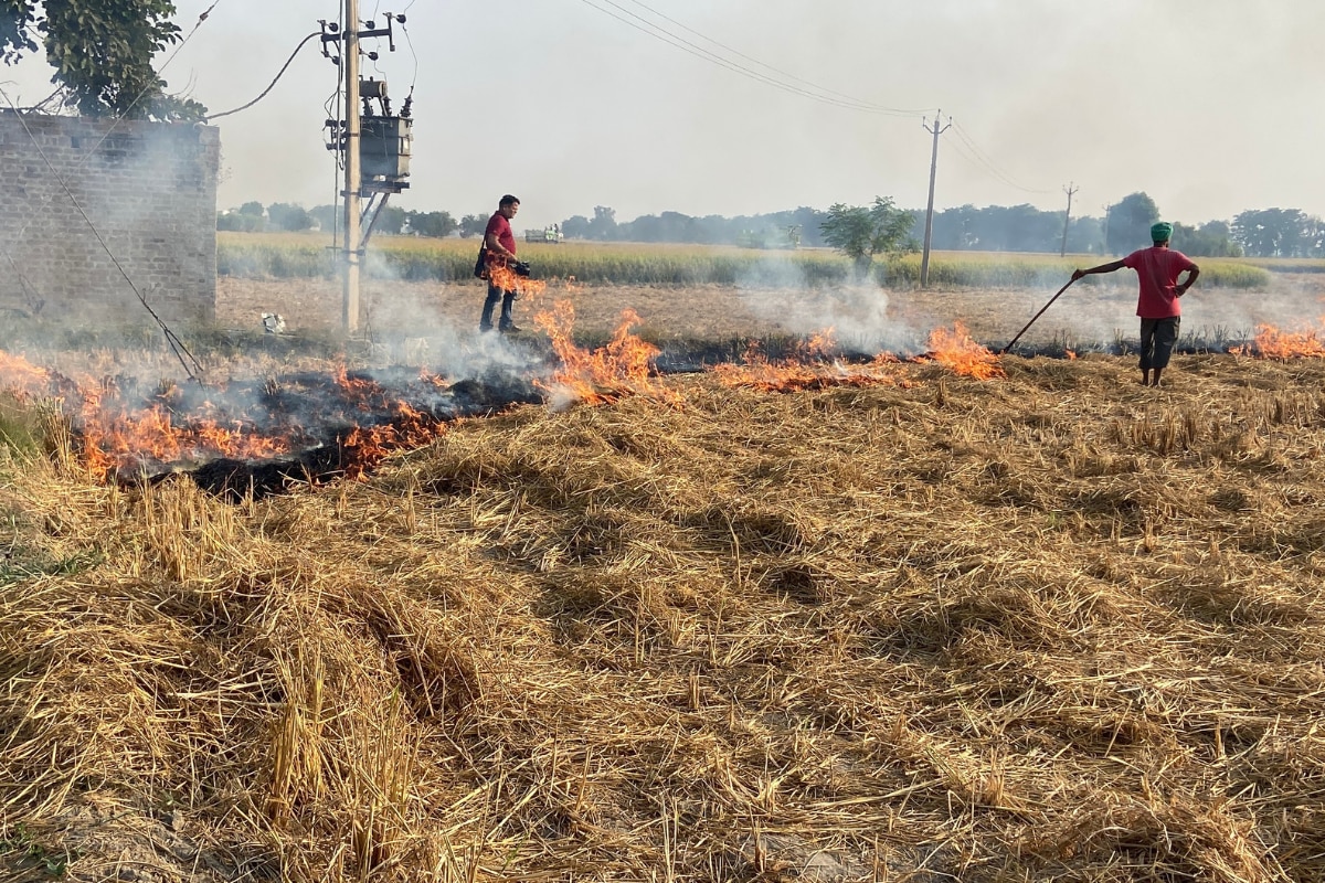 ‘No FIR Can Stop It’: Stubble Burning Continues As Farmers’ Dilemma Persists In Punjab, Solutions Seem ‘Not Viable’