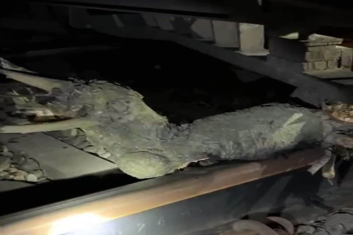 Loco Pilot Stops Train After It Hits 6-Kg Piece Of Wood In UP In Suspected Sabotage, FIR Filed
