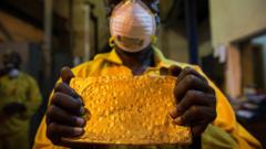 Mali wins 0m in gold mining dispute after detaining British businessman