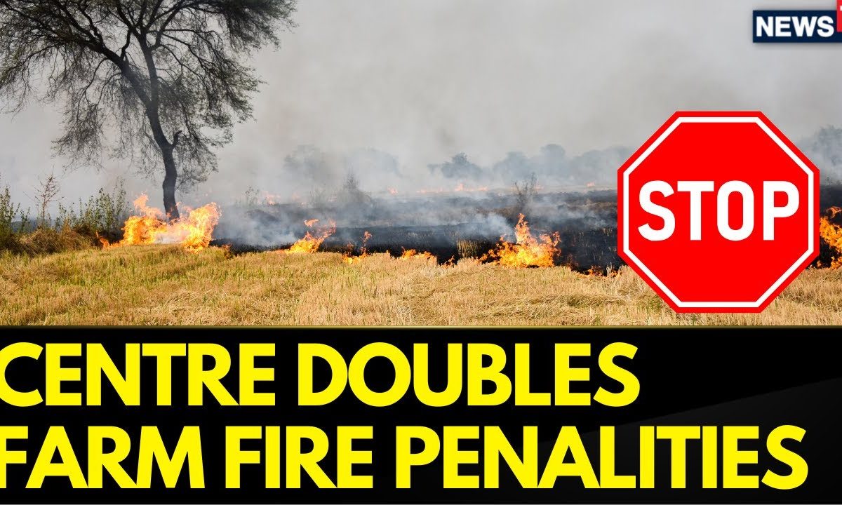 Stubble Burning News | Centre Doubles Stubble Burning Penalities | Delhi Pollution News| News18