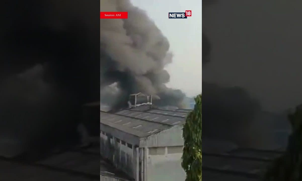 Massive Blaze Breaks Out At Factory Near Tarapur MIDC In Maharashtra | Maharashtra News | N18S