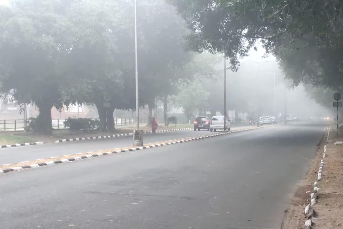Chandigarh’s Air Quality Hits Hazardous Levels, AQI At 354 Amid Smog Crisis