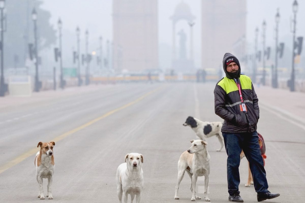 At 10.1 Degrees, Delhi Records Season’s Coldest Morning, AQI Still ‘Very Poor’