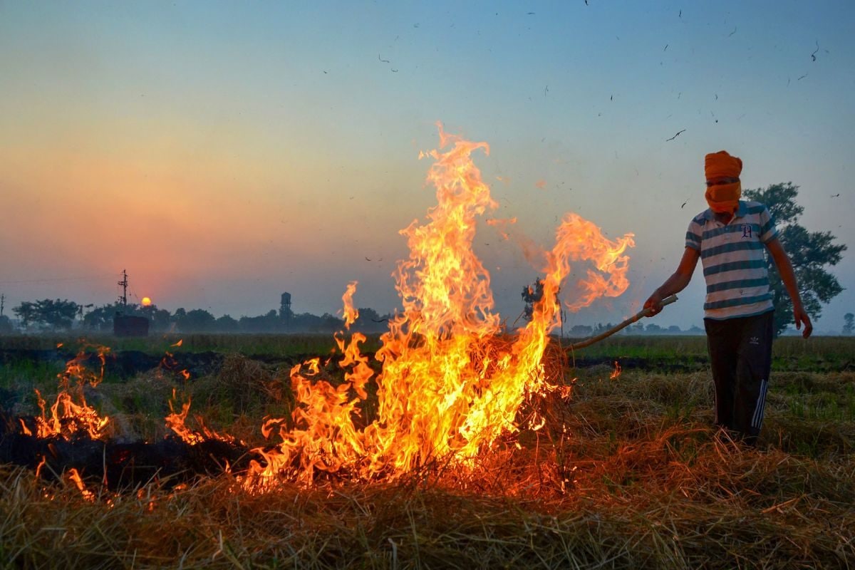 Punjab Reports Season’s Highest Farm Fire Cases At 1,251; Total Touches 9,655