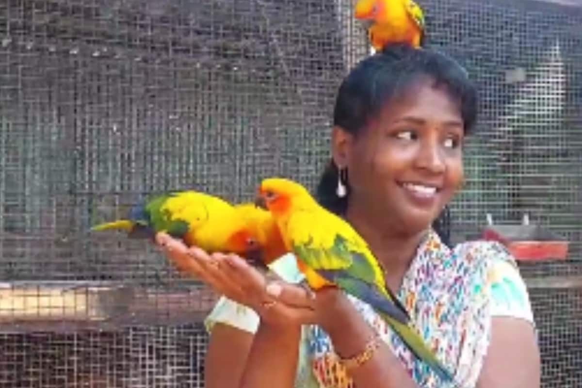 Why Madurai’s Coos And Paws Park Is Must-visit For Animal Lovers