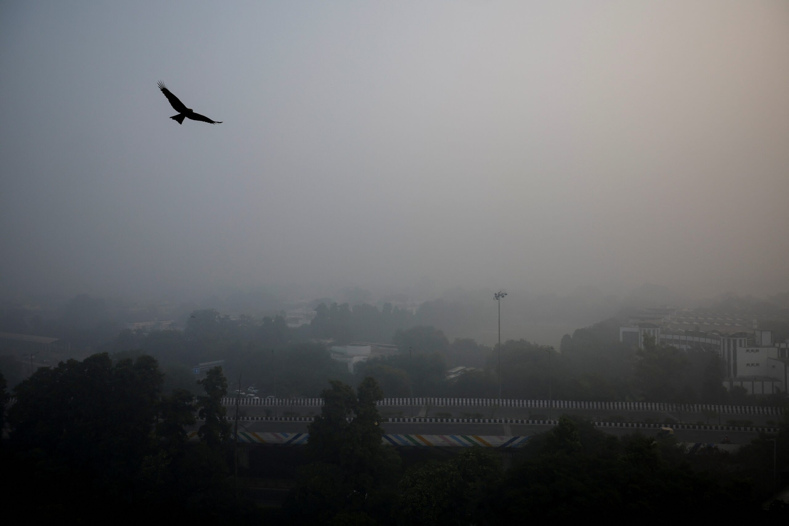 Delhi Wakes Up To Season’s Worst Air Quality, Visibility Drops To 150 Metres