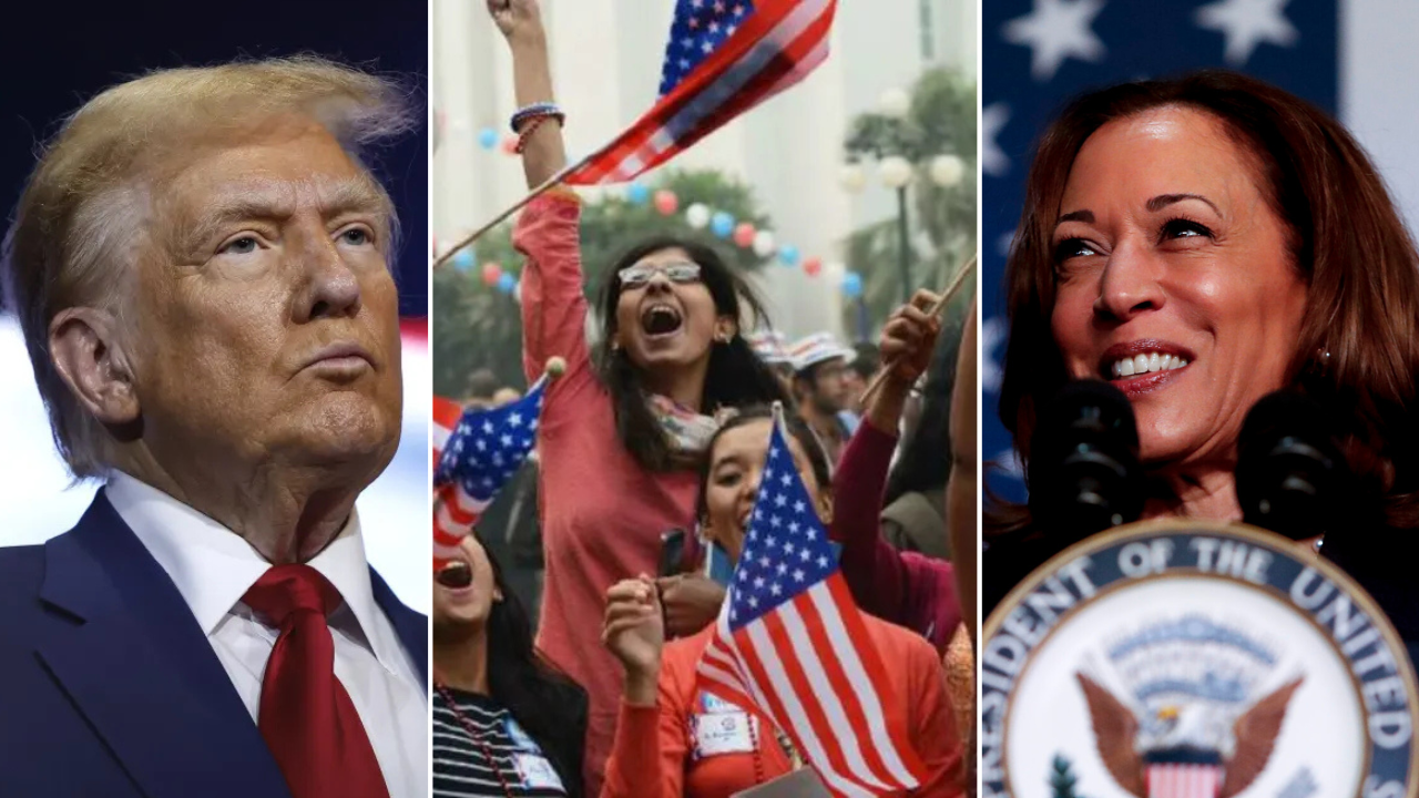 Harris or Trump? 10 charts explain who Indian-Americans may vote for on Nov 5