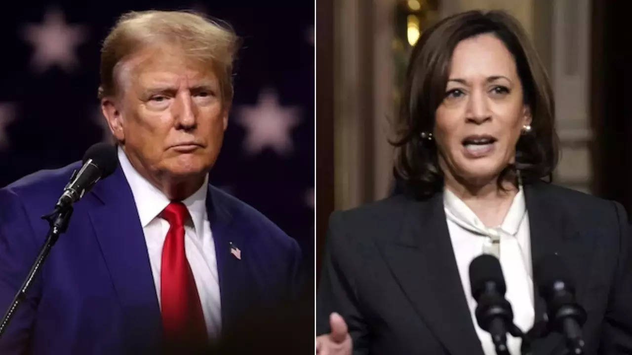 Donald Trump vs Kamala Harris: What’s in it for India