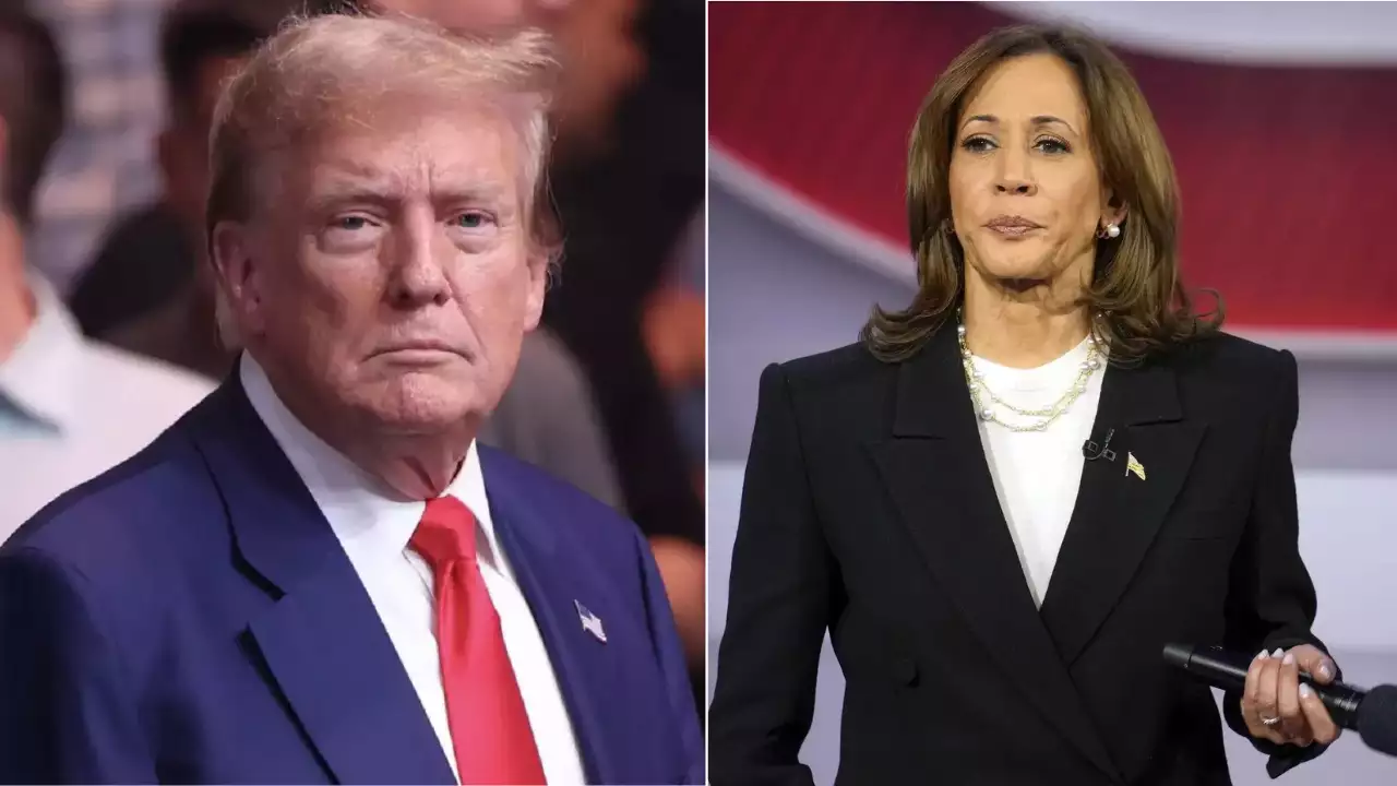 Trump vs Kamala: When can we expect results for swing states?