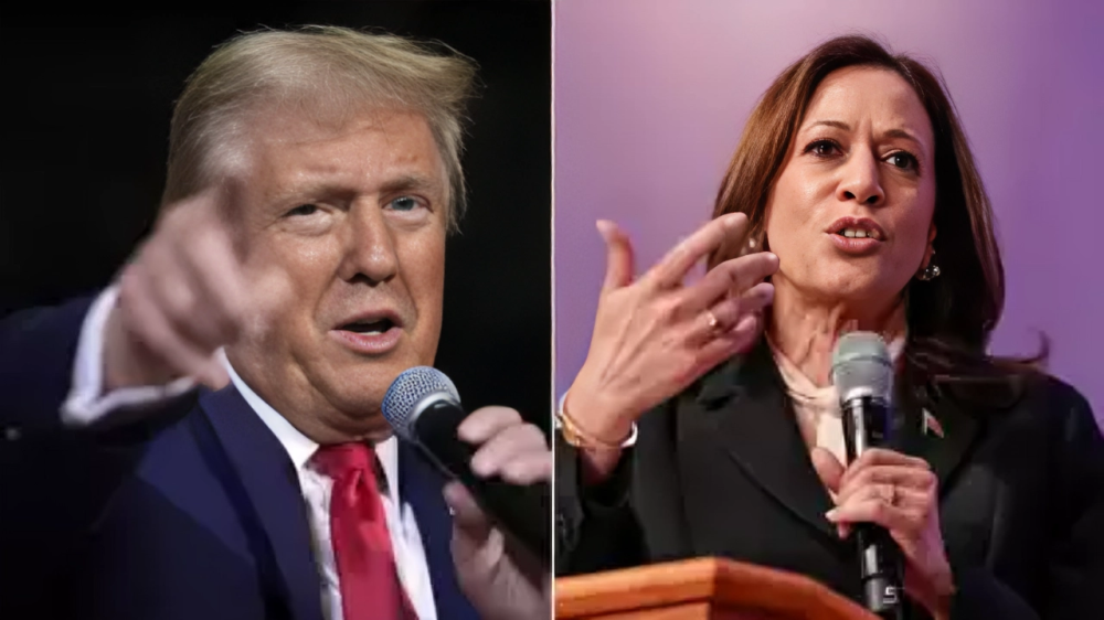 Trump vs Harris: Who won which state?