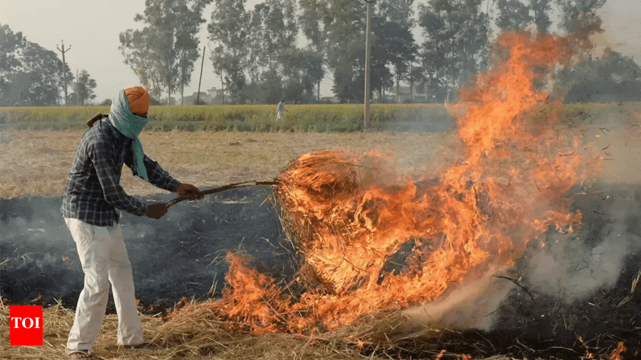 Bad air: How farm fires hurt Delhi? Answer is blowing in wind