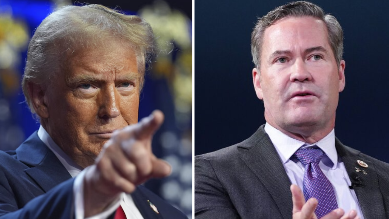 Trump’s incoming NSA Waltz wants US to dance cheek-to-check with India