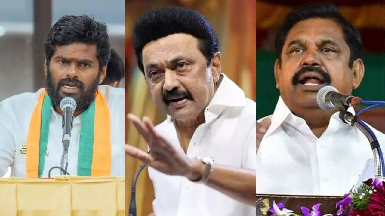 ‘No law and order’: Political blamegame erupts after doc stabbed in Chennai