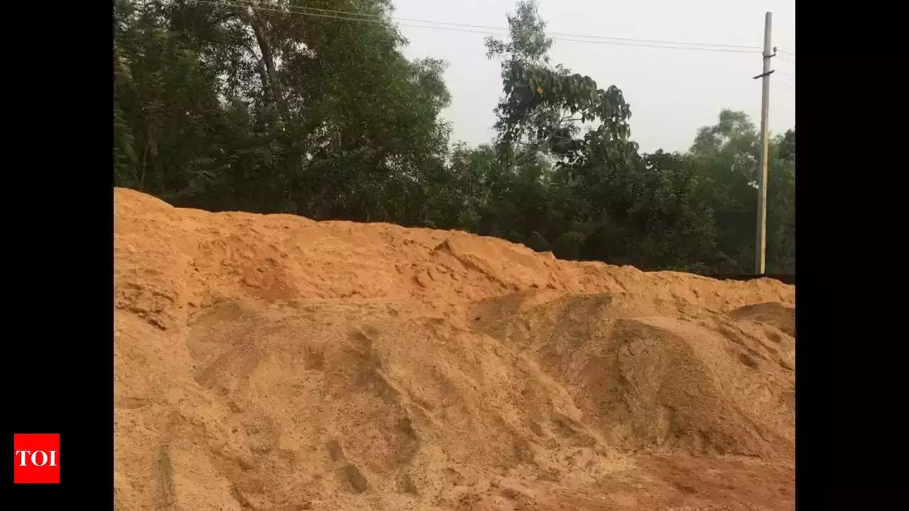 For Rs 10 cr Malaysian sand stock, Karnataka govt faces Rs 76 cr Adani group battle