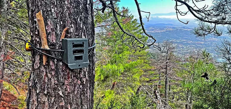 Corbett forest cameras spying on women, says study; probe ordered