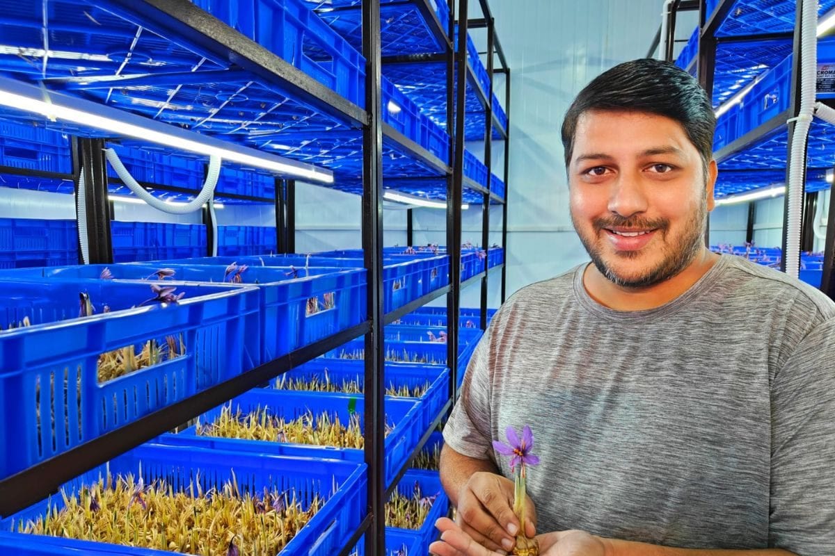 Ex-Techie’s Innovation Brings Kashmir’s Famed Saffron To A Lucknow Lab | Sunday Special