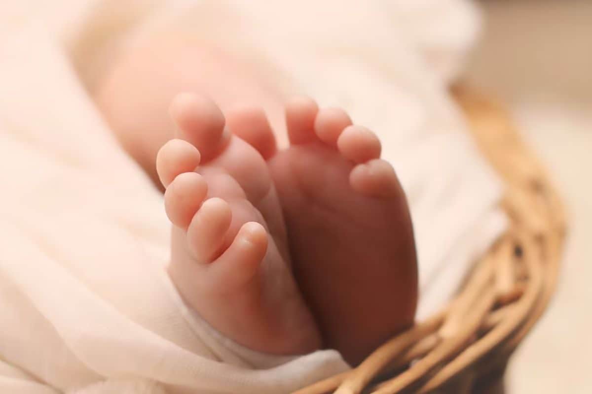 CID Busts Interstate Child Trafficking Gang, Rescues Two-Day-Old From Howrah