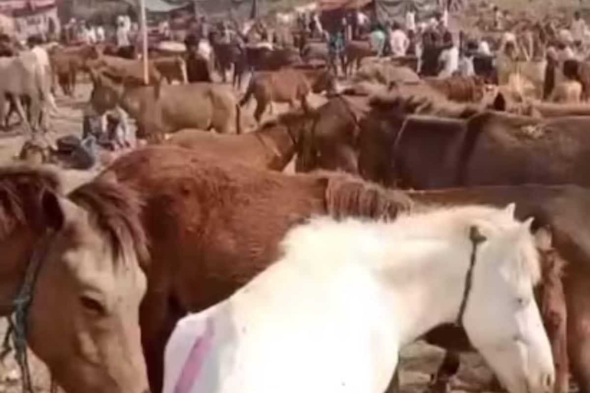 ‘Lawrence’ Outsells ‘Salman’ And ‘Shah Rukh’ For Rs 1.25 Lakh At This Unique Event In UP