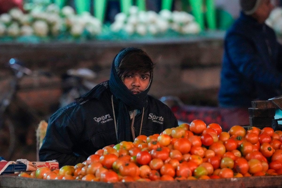 Delhi’s Najafgarh Vegetable Market Vendors Ordered To Display Names, Numbers On Carts