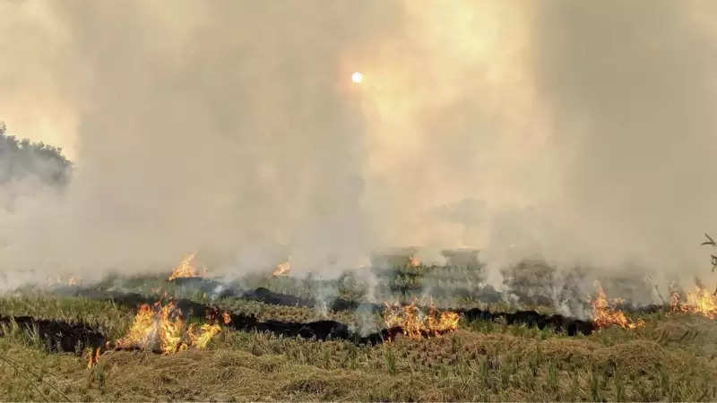 Farm fires at record low but impact on Delhi air still high
