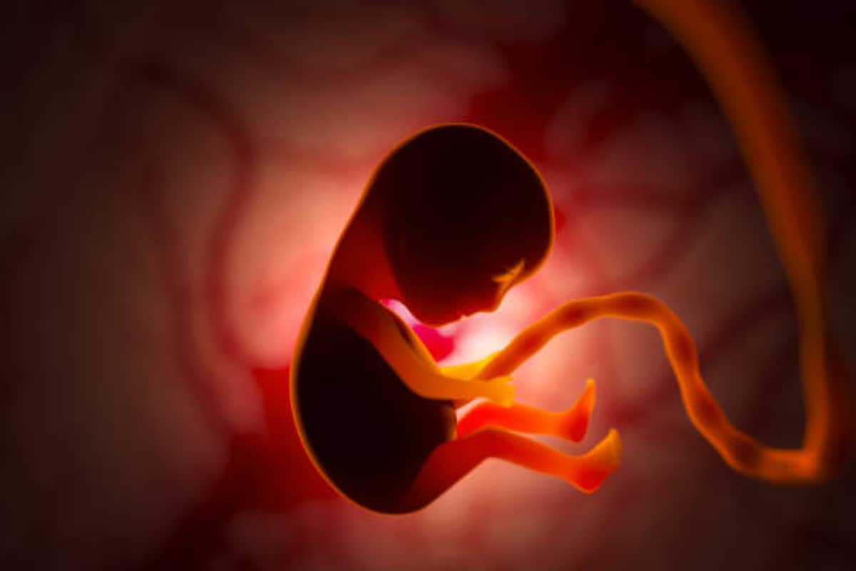 Six-Month-Old Foetus Found Stuck In Toilet Pipe In UP’s Ghaziabad