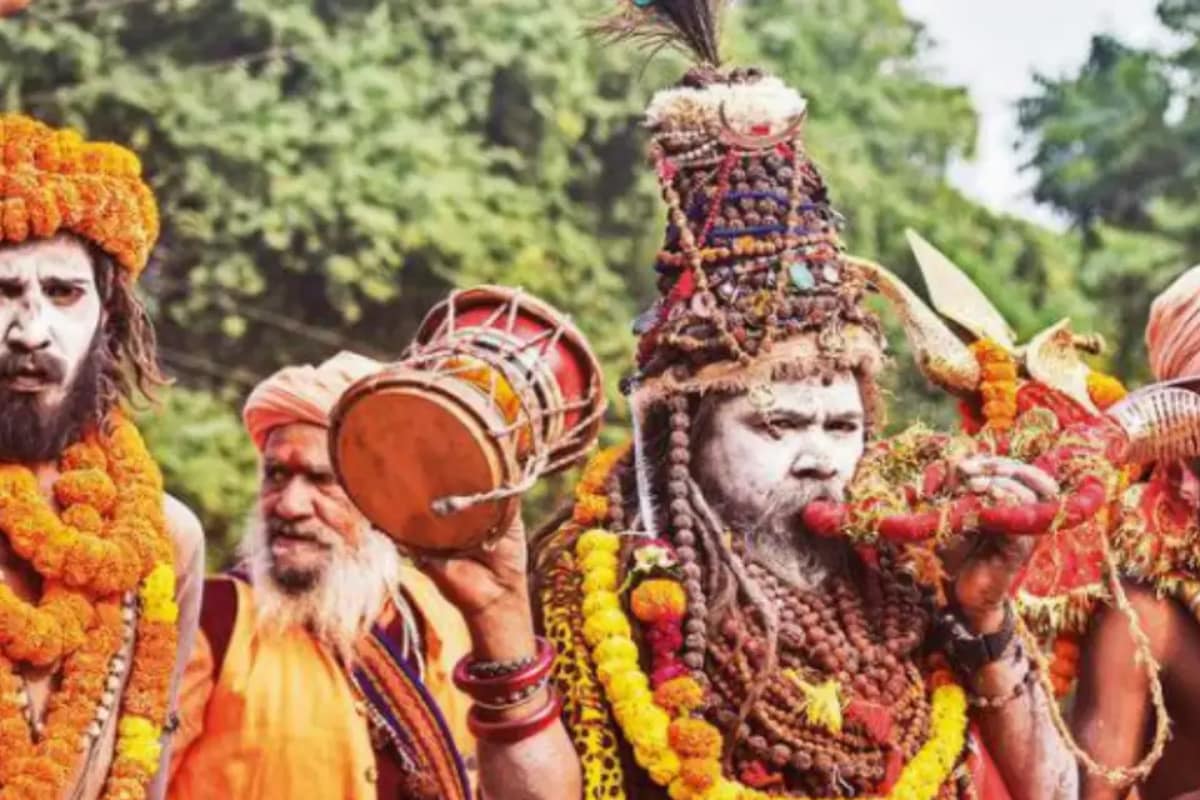 Top Seers Bat For ‘Sanatan Board’ At Prayagraj Maha Kumbh, Proposal To Be Sent To Centre