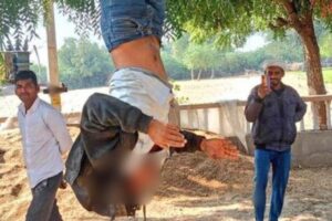 Dalit Man Hung Upside Down From A Tree In Rajasthan, Thrashed Over Suspected Bike Theft