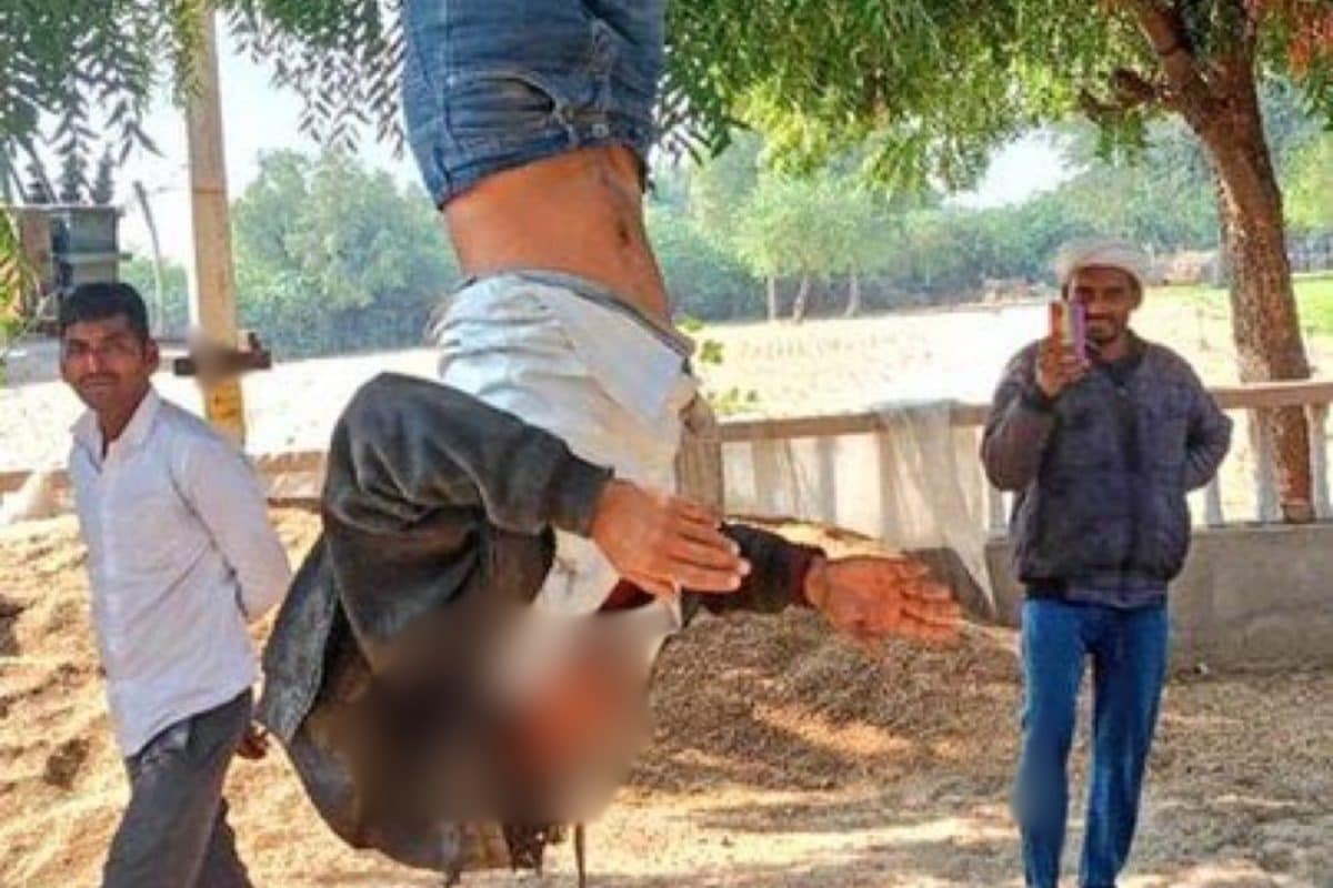 Dalit Man Hung Upside Down From A Tree In Rajasthan, Thrashed Over Suspected Bike Theft