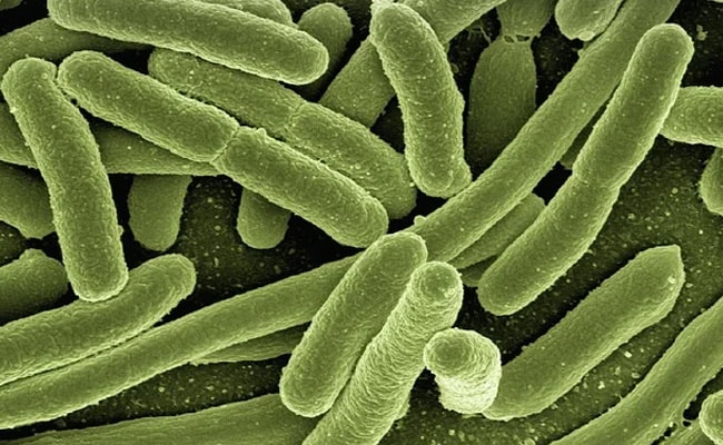 “No Cause For Alarm”: Indian Health Agency On HMPV Virus Spreading In China