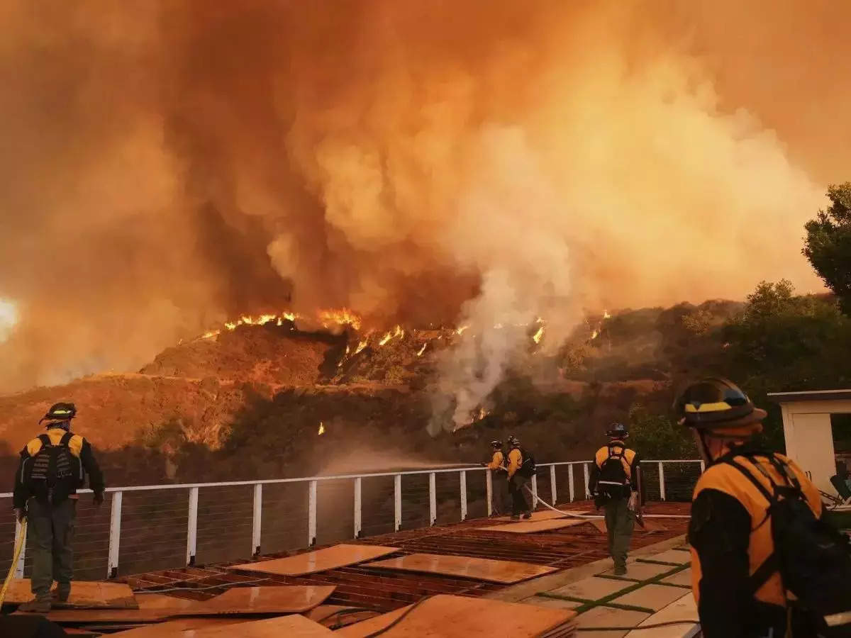 LA wildfires claim 24 lives, wealthy hire private firefighters for k/hour
