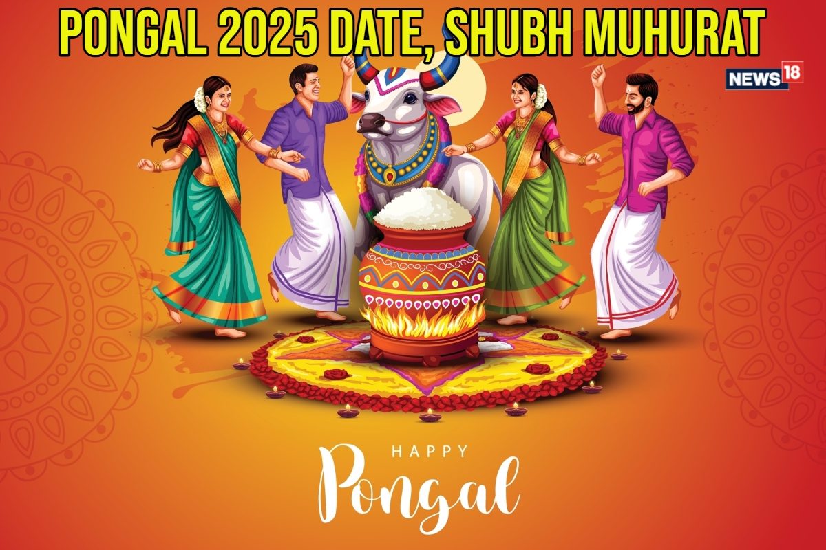 Pongal 2025: What Are The Four Days Of Pongal? Dates, Shubh Muhurat, Rituals, & 10 Recipes