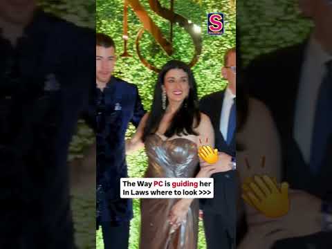 Priyanka Chopra Makes Sure The Jonas Fam Gets Their Angles Right For The Paps! | N18S #Shorts