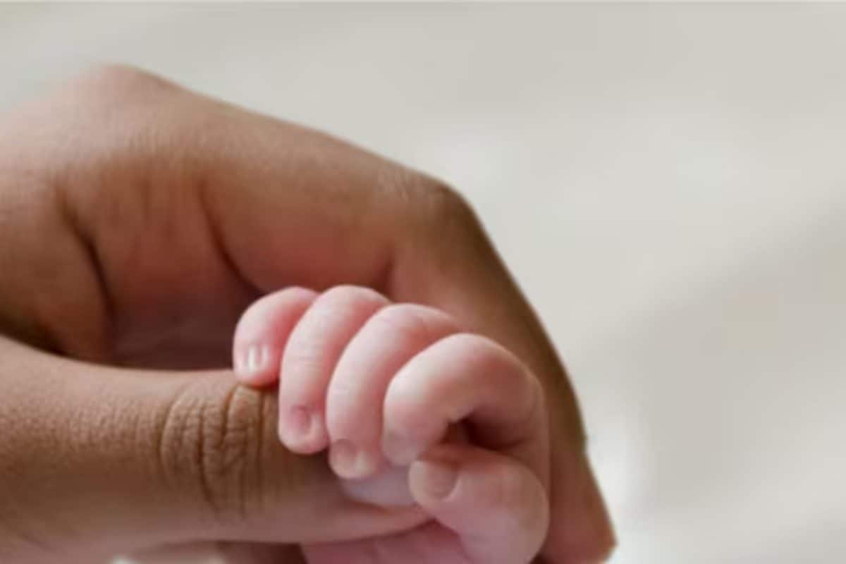 Dogs Eat Newborn’s Head After Death In UP, Hospital Alleges Family ‘Threw’ Child In Plastic Bag