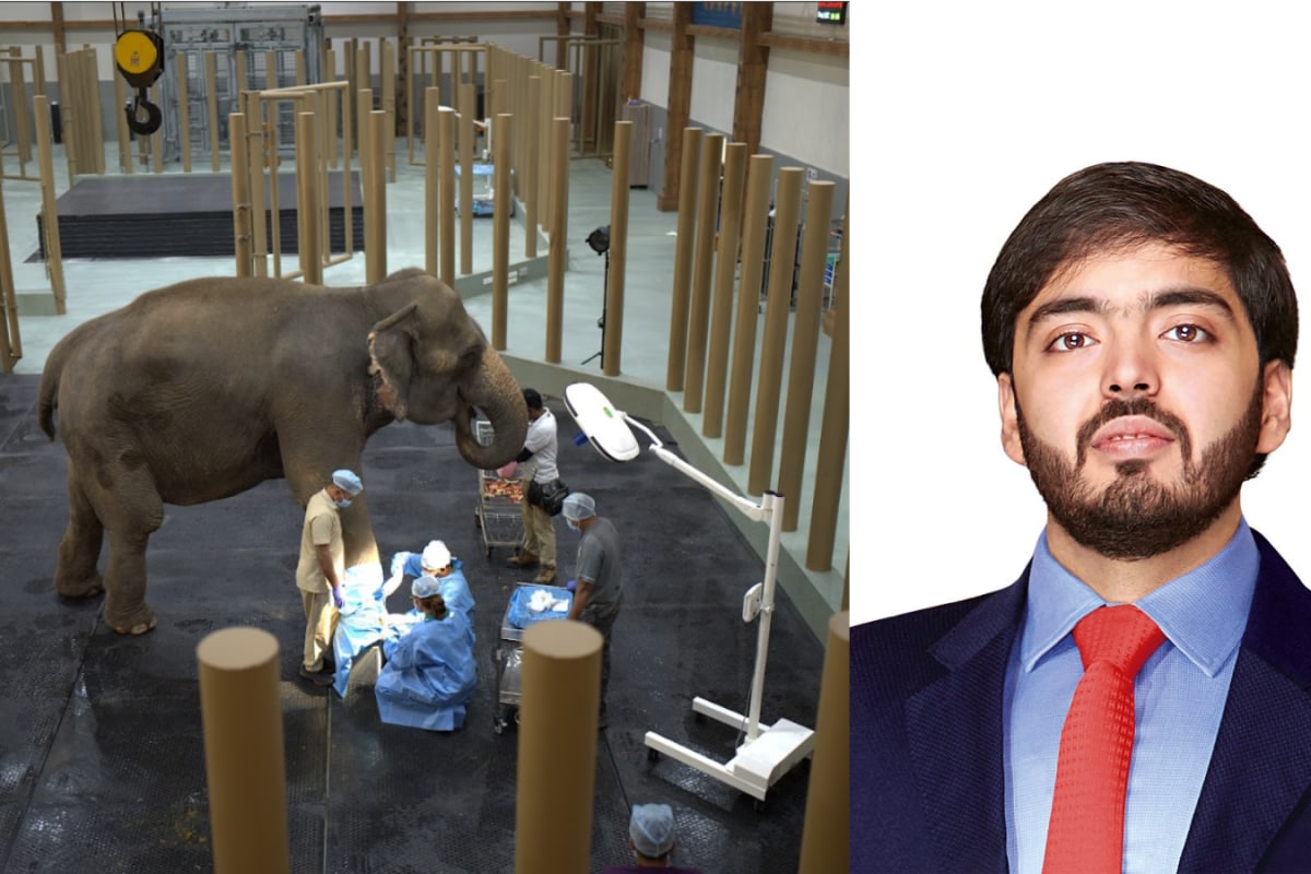 Anant Ambani’s Passion Project Vantara Wins Prestigious National ‘Prani Mitra’ Award For Excellence In Animal Welfare