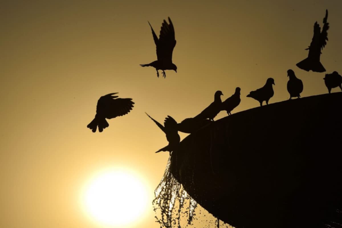 Temperature In Delhi May Soar To 30 Degrees Celsius In Feb, Air Quality Becomes ‘Poor’